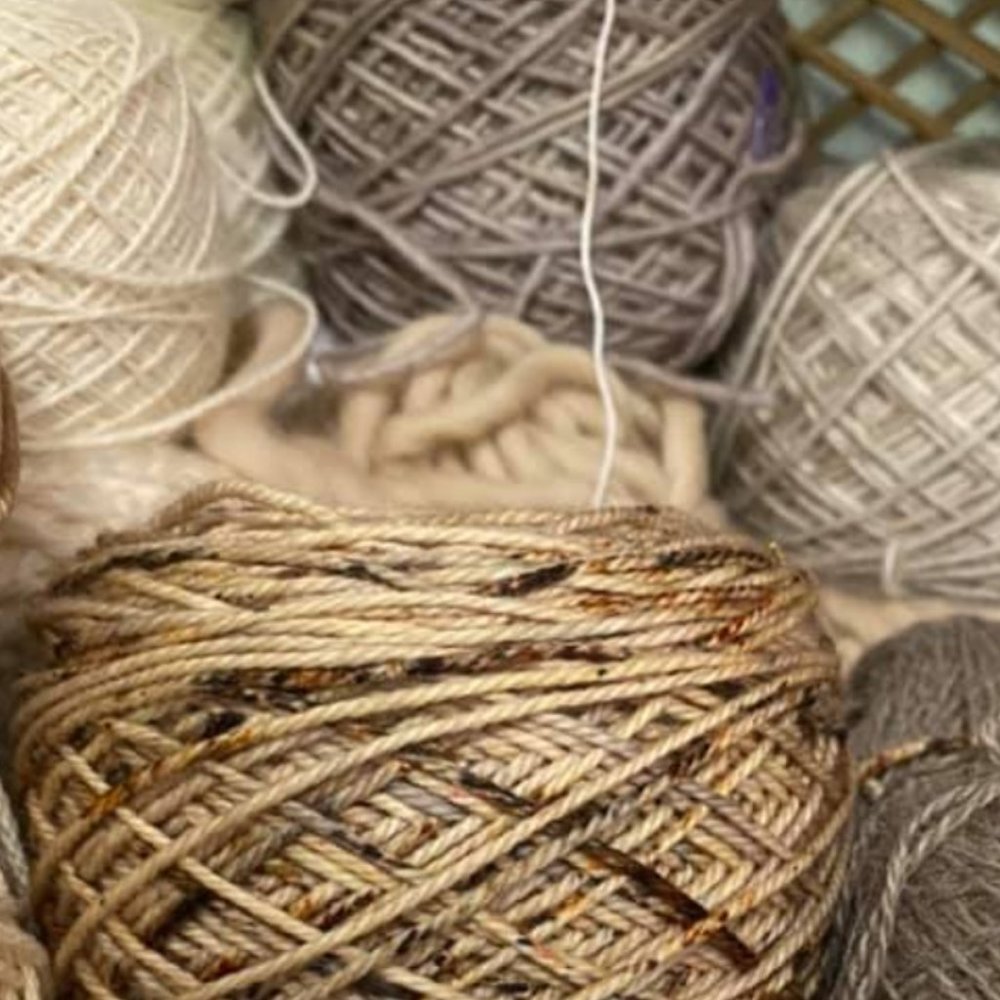 Meet your Posher, Louise